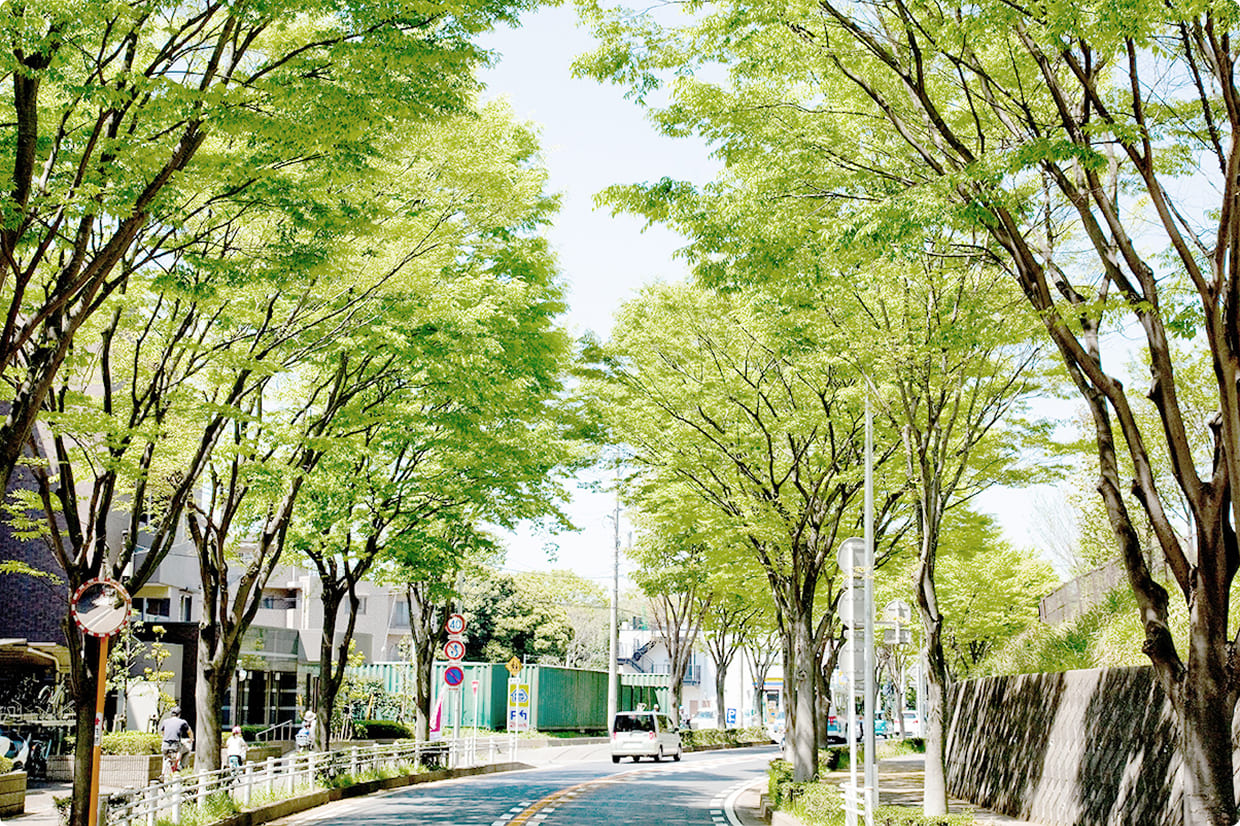 旭区・瀬谷区に特化した地域情報の蓄積を示すイメージ